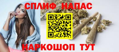 apvp Можга