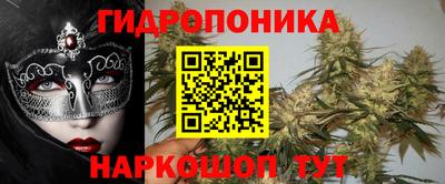 apvp Можга