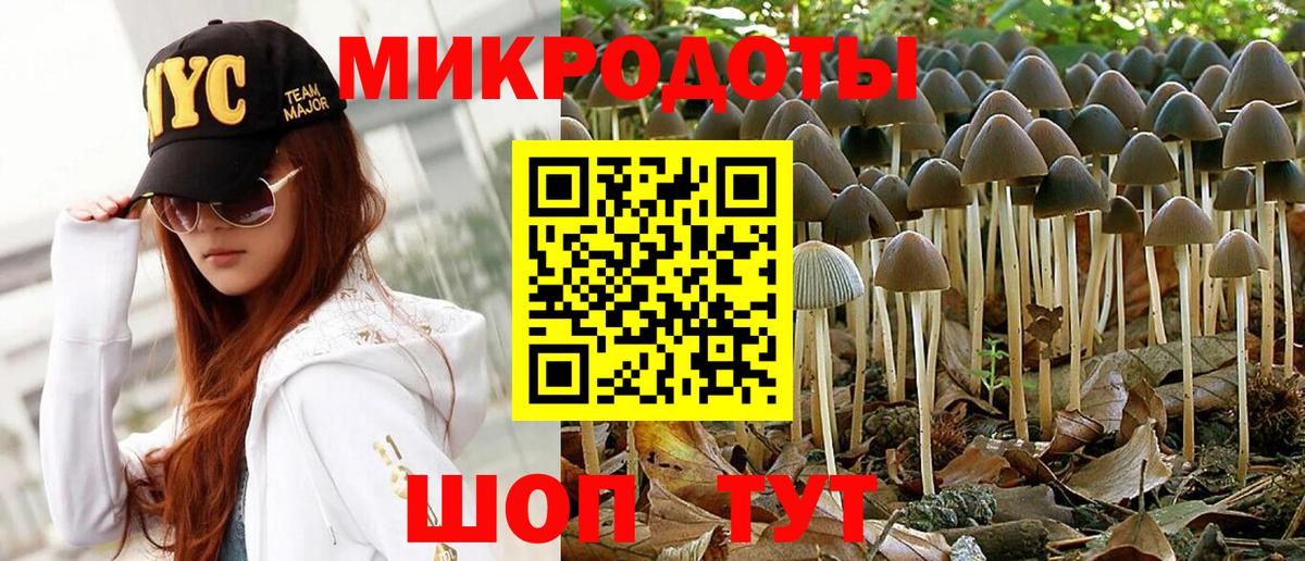 Галлюциногенные грибы ЛСД Унеча