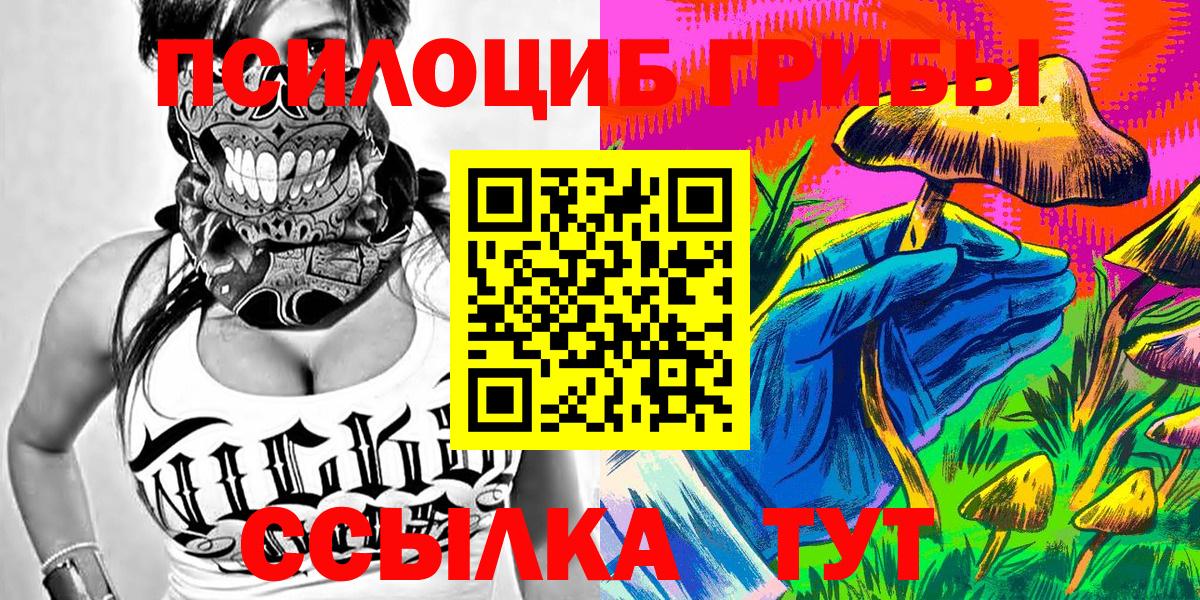 закладка  Вход с VPN  Унеча  Псилоцибиновые грибы мухоморы 